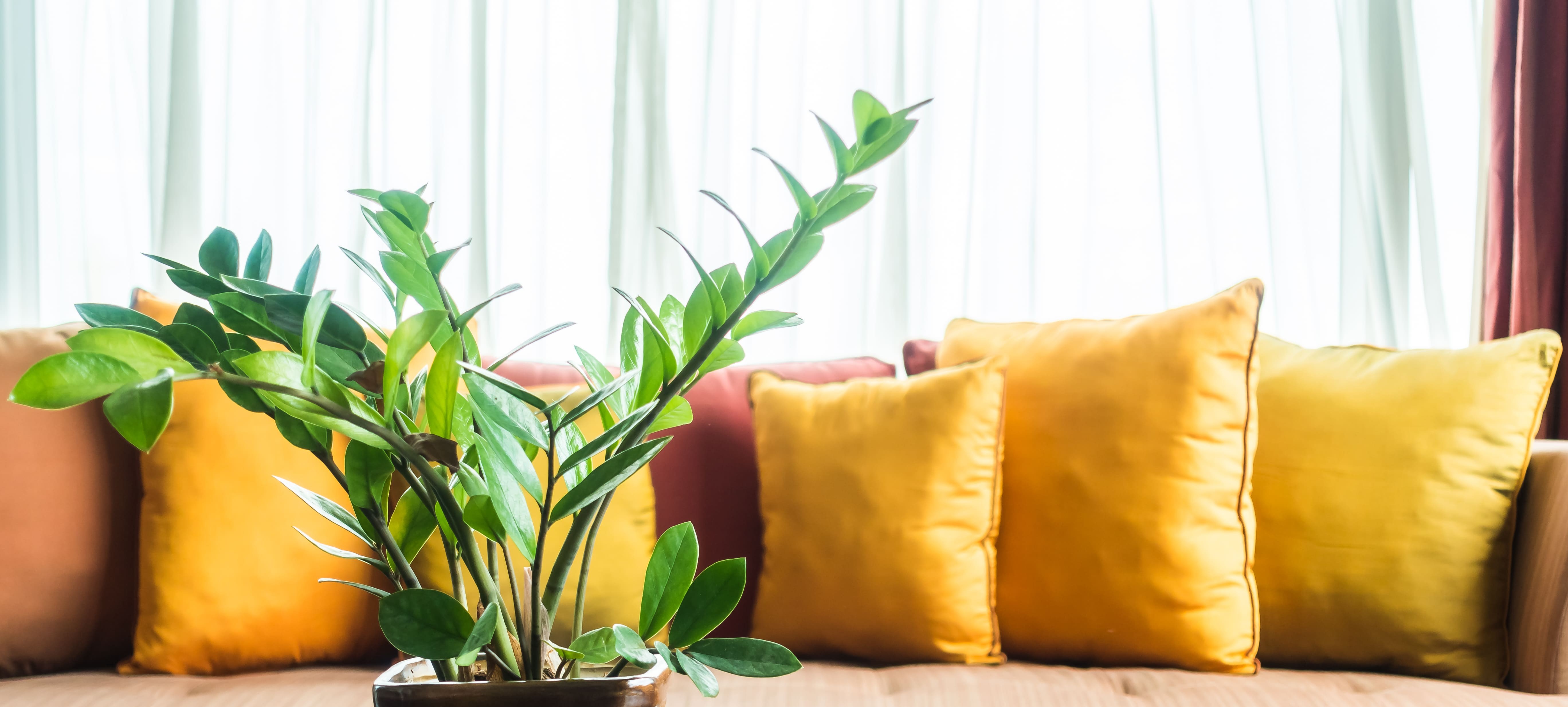 Bannière à propos Kanon2Beauté